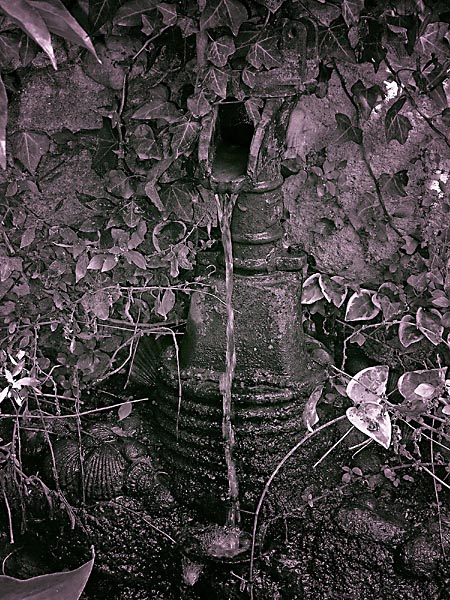 SWPP & BPPA Silver Merit Award Winner - Fine Art January 2008